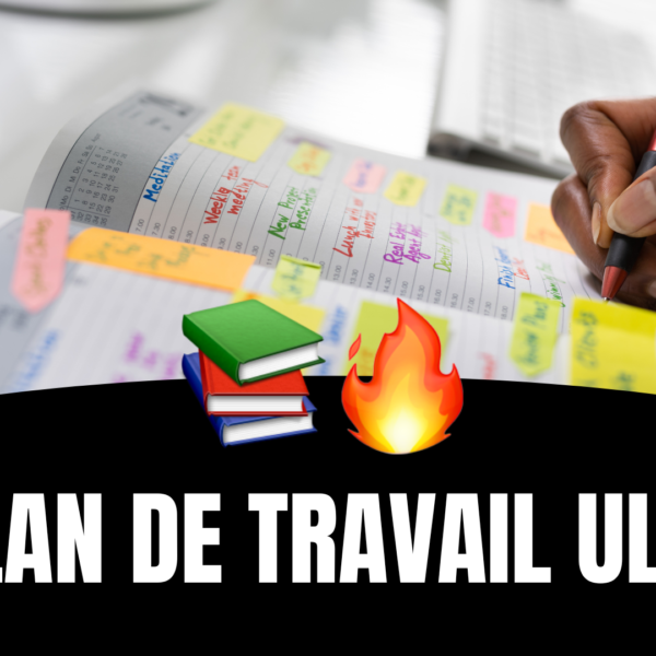 Le Plan de travail ultime pour réviser le BAC de Maths
